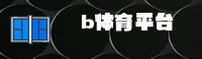 b体育(BTIYU)官方网站 - 官方正版入口